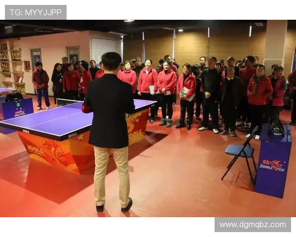 赵静独家分享乒乓球技巧与心得体会助你提升球技的秘密秘诀