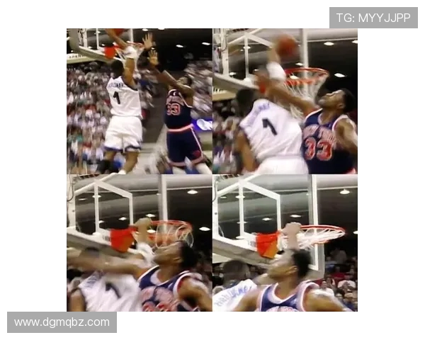 从空中飞人到篮球传奇朱利叶斯欧文的辉煌生涯与精神传承